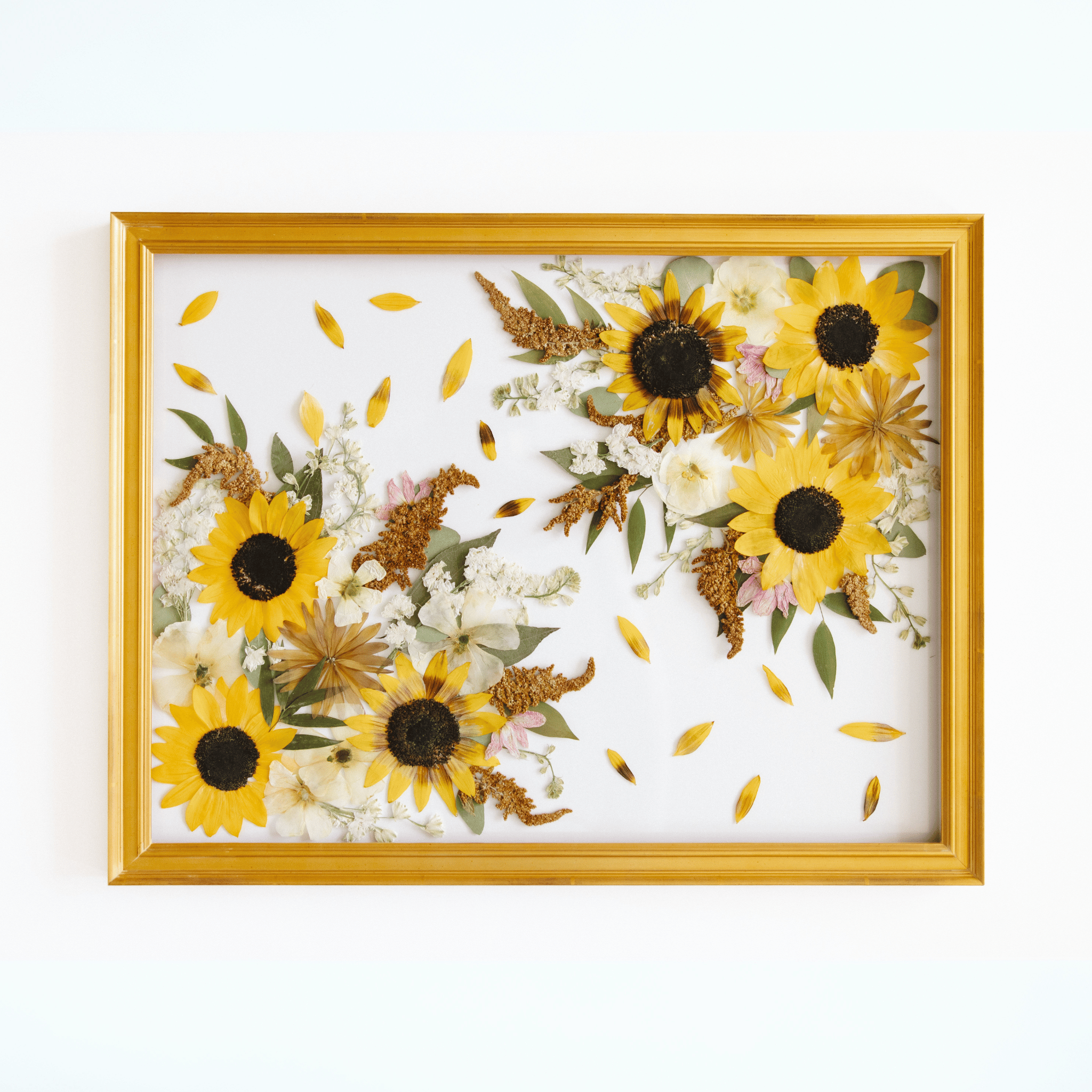 18 X 24 - The Petal Press