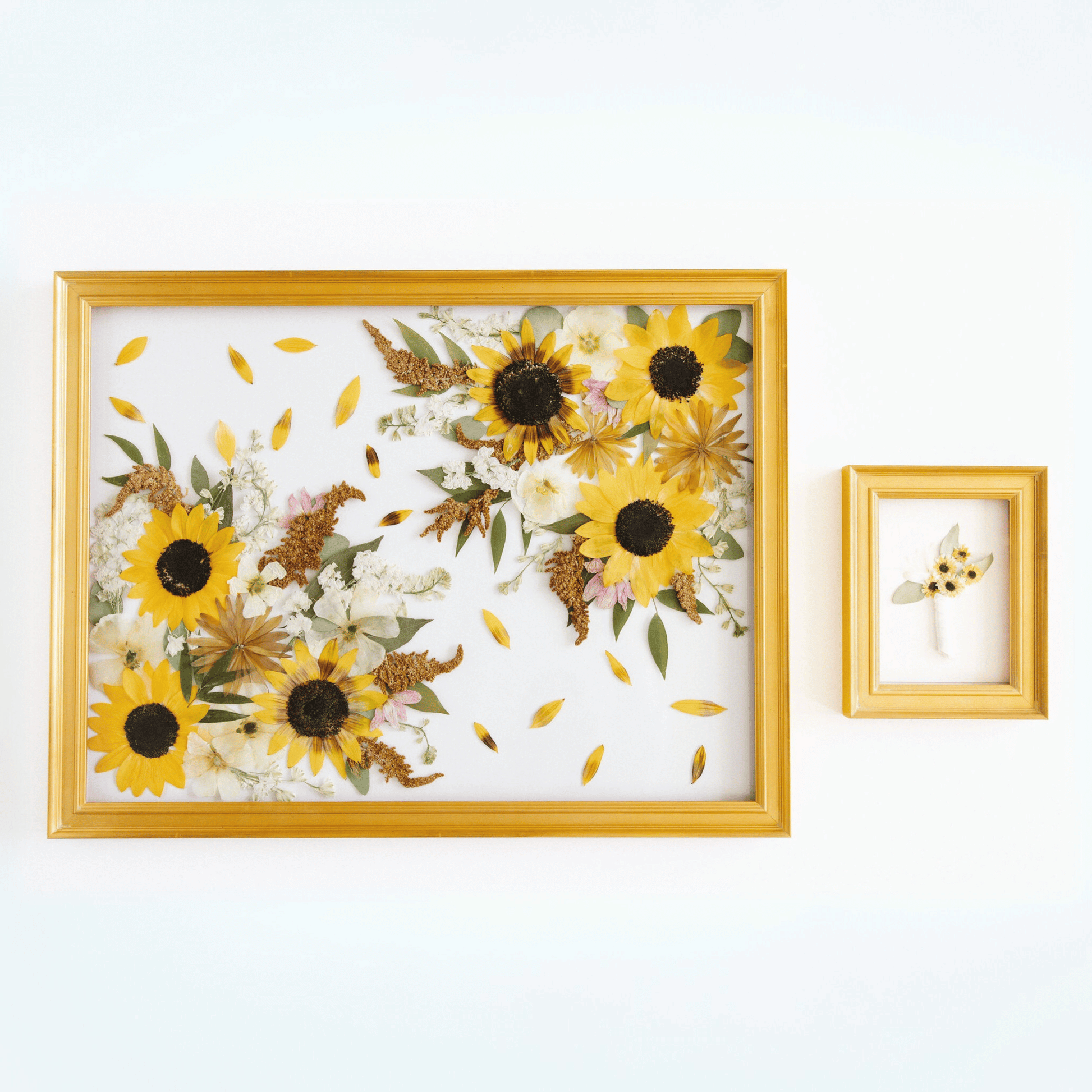 18 X 24 - The Petal Press