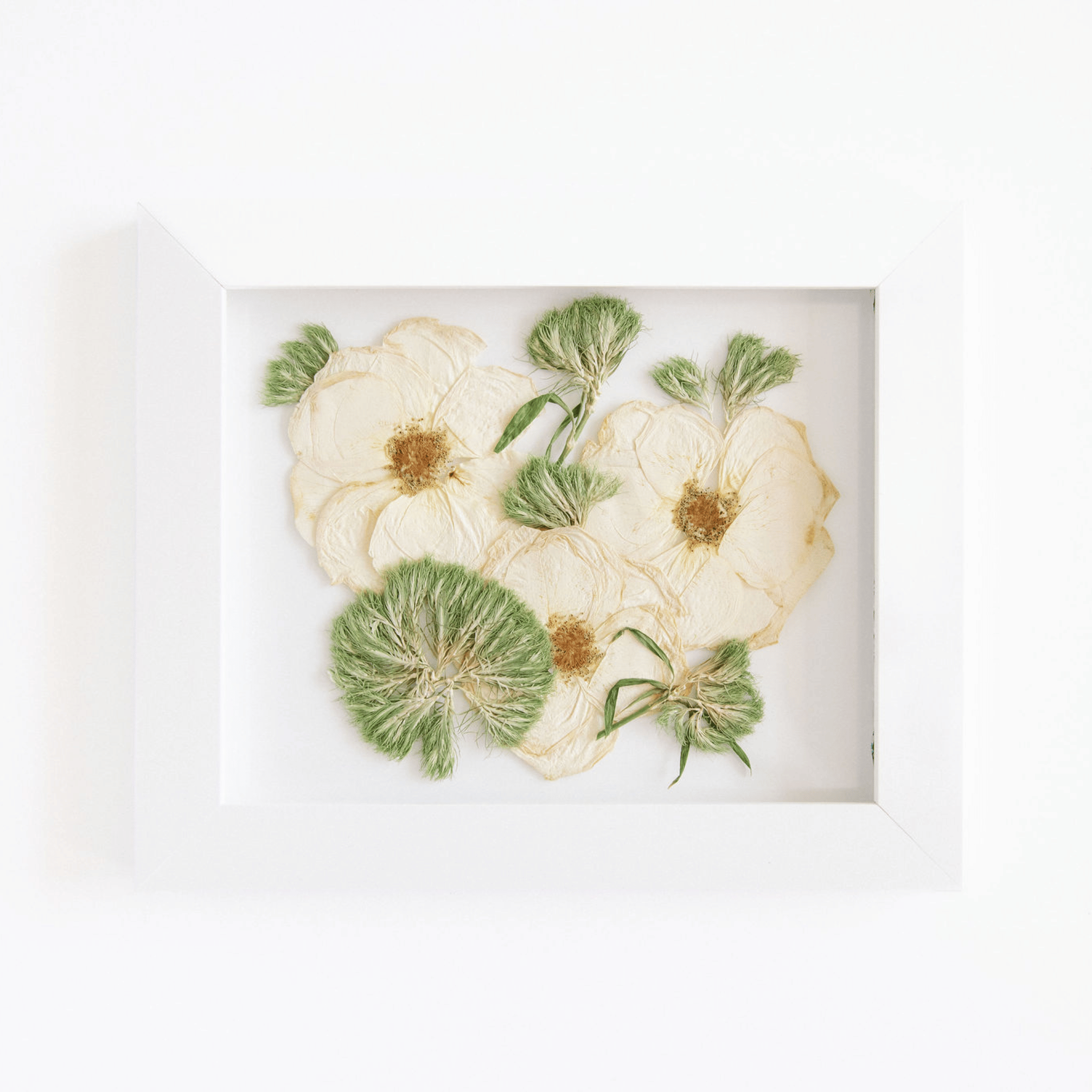 8 X 10 - The Petal Press