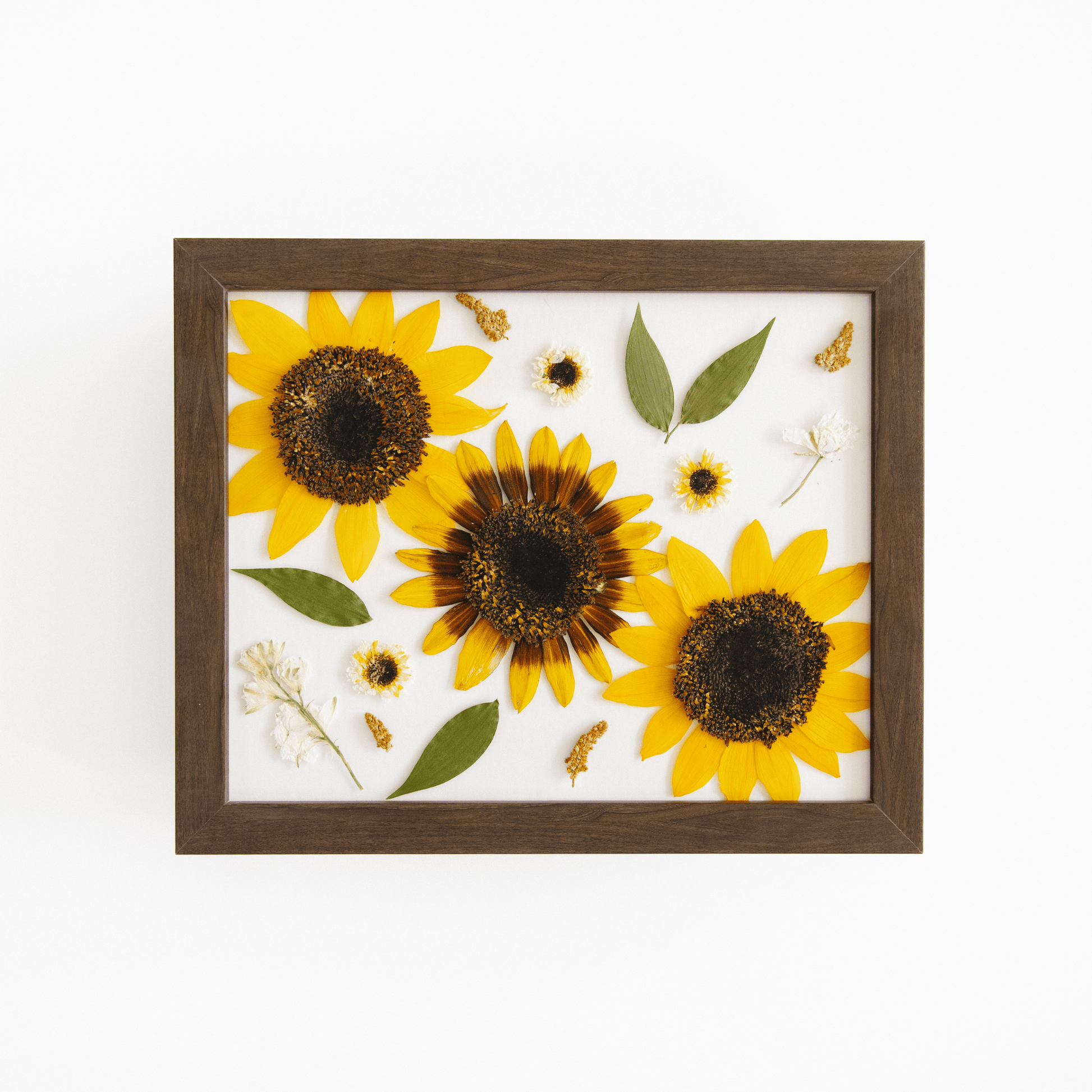 8 X 10 - The Petal Press