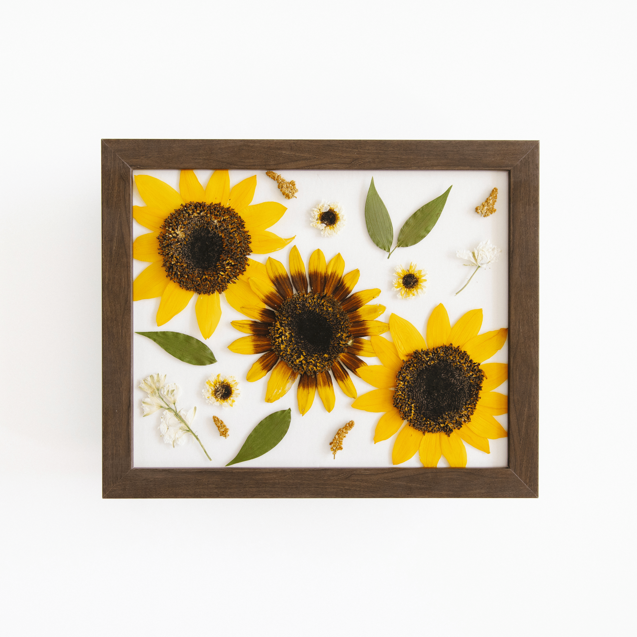 8 X 10 - The Petal Press