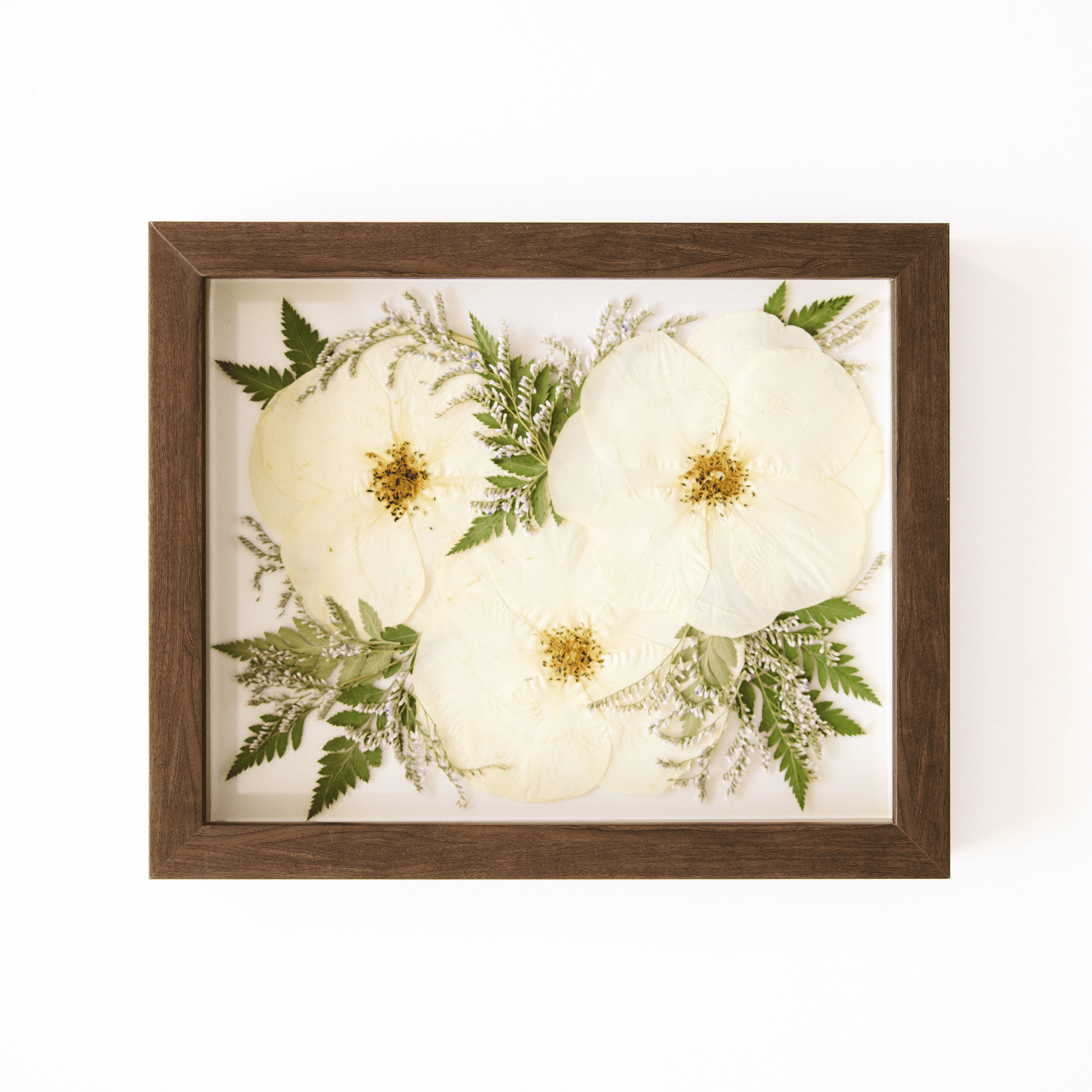 8 X 10 - The Petal Press