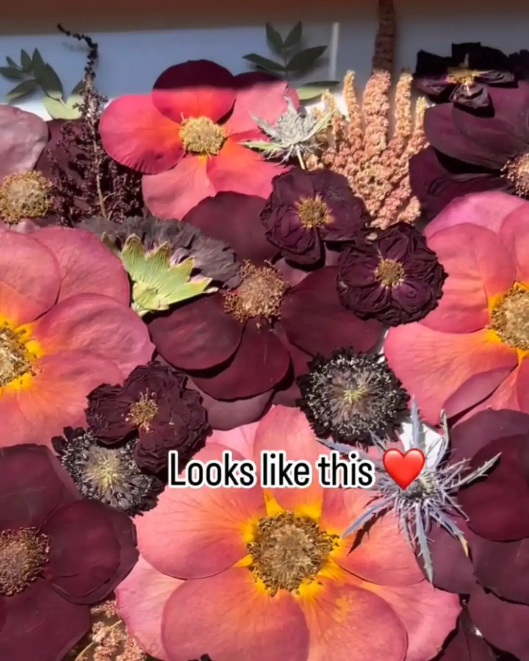 The Petal Press
