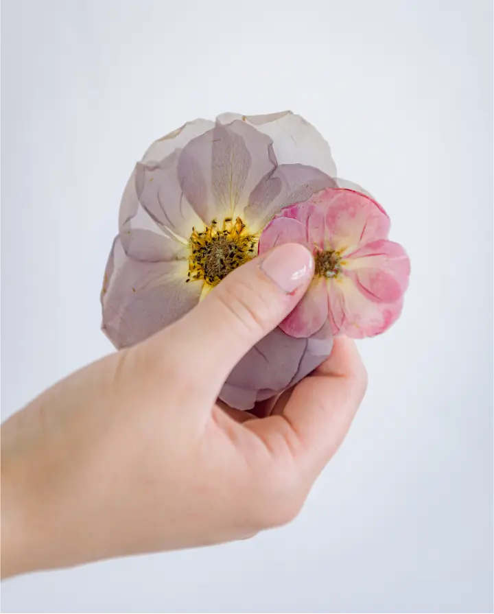 The Petal Press